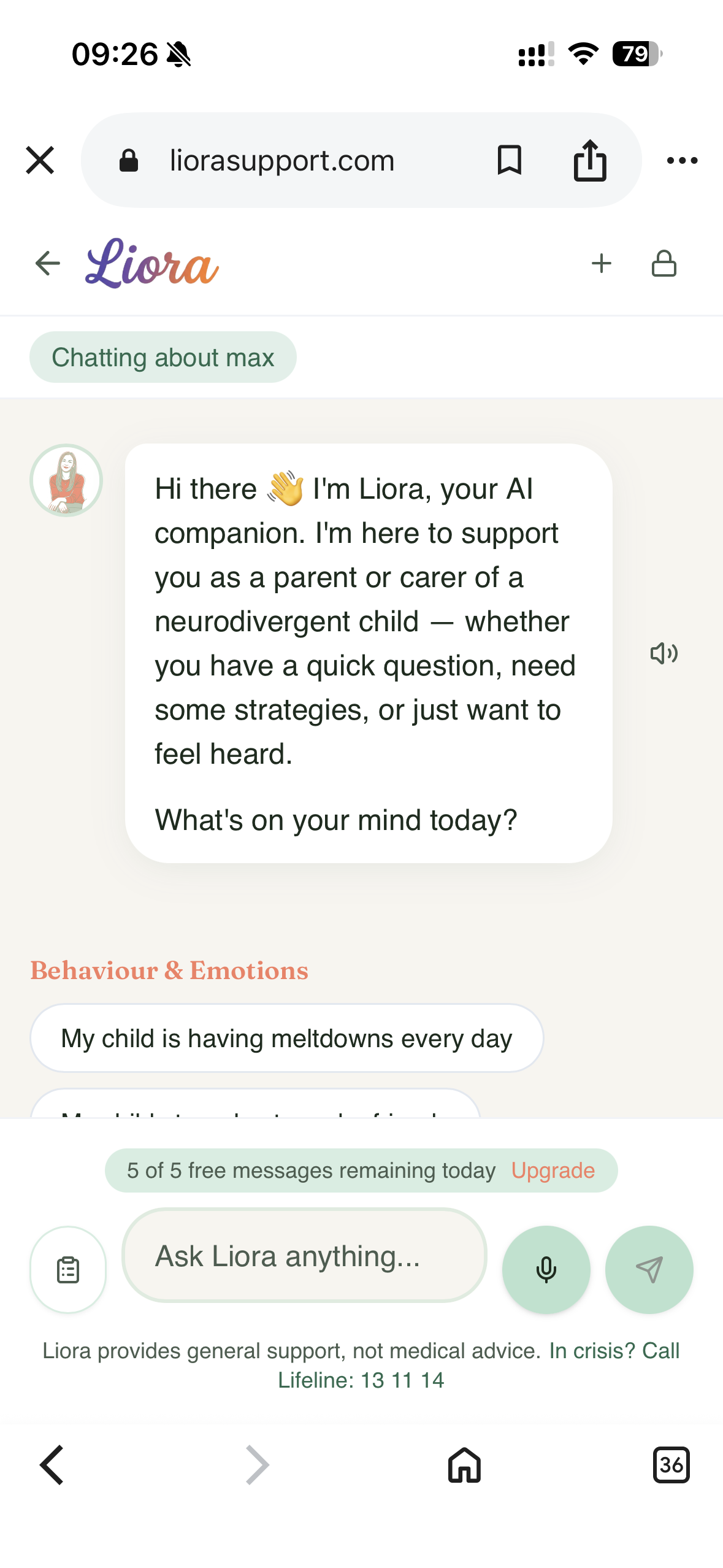 Liora Chat Interface